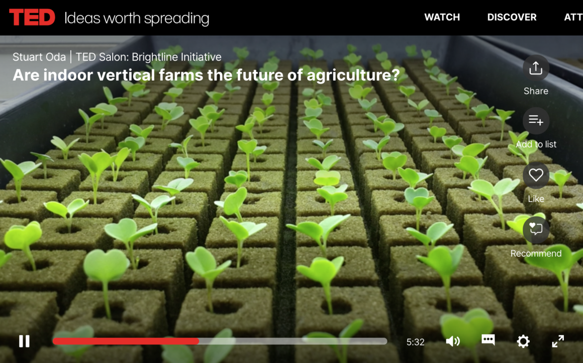 Are indoor vertical farms the future of agriculture?