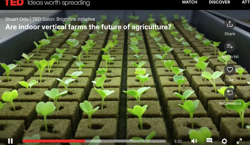 Are indoor vertical farms the future of agriculture?