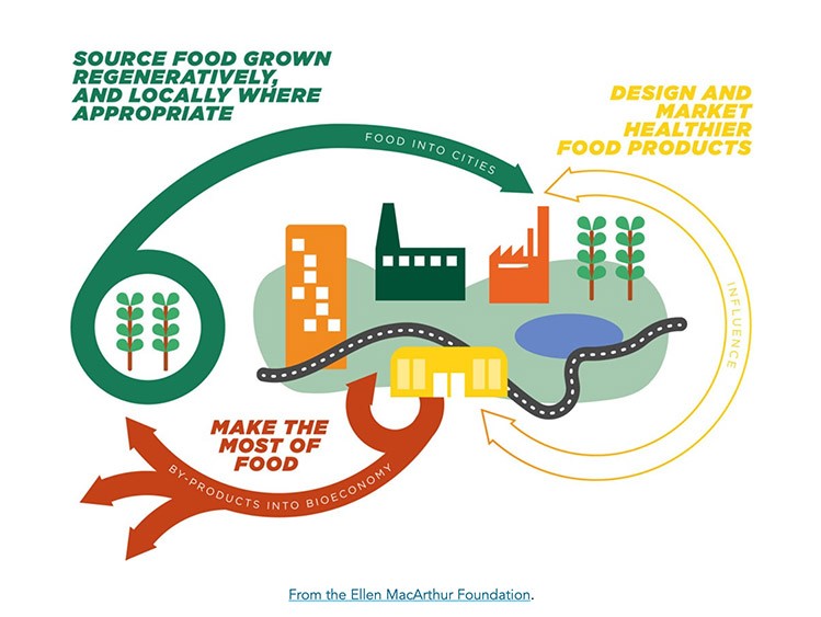Local Food Systems Could Feed Us All—And Save the Planet